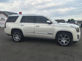 Used 2015 Cadillac Escalade Premium image 5