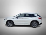 Certified 2024 INFINITI QX50 Luxe w/ Cargo Package image 2