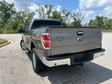 Used 2014 Ford F150 XLT w/ Equipment Group 302A Luxury image 6