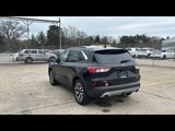 Used 2020 Ford Escape SEL image 4