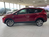 Used 2013 Ford Escape Titanium image 4