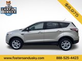 Used 2017 Ford Escape SE w/ SE Cold Weather Package image 2