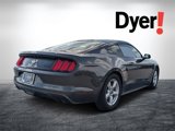 Used 2017 Ford Mustang Coupe image 3