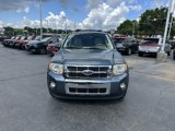 Used 2011 Ford Escape Limited w/ 302A Rapid Spec Order Code image 4