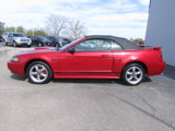 Used 2001 Ford Mustang GT Premium image 4