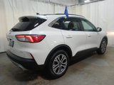 Certified 2022 Ford Escape SEL image 3