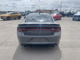 Used 2023 Dodge Charger R/T w/ Blacktop Package image 5
