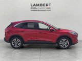Used 2020 Ford Escape SEL image 6
