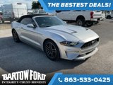 Used 2019 Ford Mustang Premium image 3