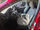 Used 2021 Ford Escape SE w/ SE Sport Appearance Package image 3