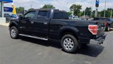 Used 2013 Ford F150 FX4 image 6