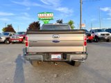 Used 2014 Ford F150 Lariat w/ Equipment Group 502A Luxury image 3
