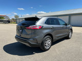 Used 2024 Ford Edge SEL w/ Convenience Package image 6