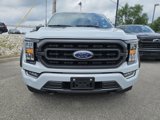 Used 2023 Ford F150 XLT w/ Equipment Group 302A High image 2