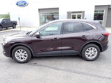 Used 2023 Ford Escape Active image 2
