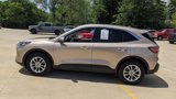 Used 2020 Ford Escape SE image 6