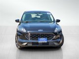 Certified 2022 Ford Escape SE w/ SE Sport Appearance Package image 2