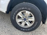 Used 2015 Ford F150 XLT image 4