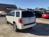 Used 2011 Ford Escape Limited w/ 302A Rapid Spec Order Code image 5