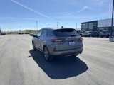 Used 2023 Ford Escape ST-Line Select image 5