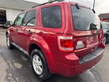 Used 2012 Ford Escape XLT image 4