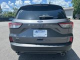 Used 2021 Ford Escape SE w/ SE Sport Appearance Package image 4
