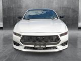 Used 2024 Ford Mustang Coupe w/ Mustang Nite Pony Package image 2