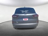 Used 2024 Ford Escape ST-Line w/ Cold Weather Package image 4