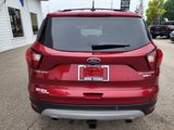 Used 2019 Ford Escape Titanium image 6