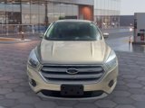 Used 2017 Ford Escape SE w/ SE Cold Weather Package image 2