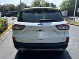 Used 2020 Ford Escape SE Sport image 6
