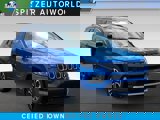 View Video