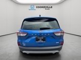 Used 2020 Ford Escape SE image 3