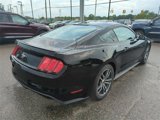 Used 2015 Ford Mustang Premium image 5