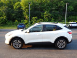 Used 2021 Ford Escape SEL w/ Technology Package image 6