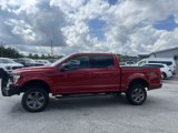 Used 2020 Ford F150 XLT w/ Equipment Group 302A Luxury image 3