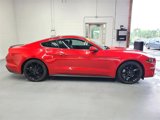 Used 2019 Ford Mustang Premium w/ Equipment Group 201A image 4