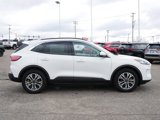 Certified 2020 Ford Escape SEL image 3
