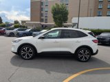 Used 2022 Ford Escape SE w/ SE Sport Appearance Package image 6