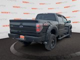 Used 2013 Ford F150 FX4 image 5