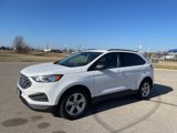 Used 2020 Ford Edge SE w/ Cargo Accessory Package image 6