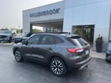 Certified 2020 Ford Escape SE Sport image 4