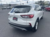 Used 2021 Ford Escape SE w/ Cold Weather Package image 5