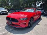 Used 2018 Ford Mustang Premium w/ Equipment Group 201A image 5
