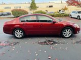 Used 2005 Nissan Maxima 3.5 SL image 6