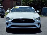 Used 2019 Ford Mustang GT Premium w/ Equipment Group 401A image 2