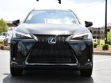 New 2025 Lexus UX 300h AWD image 2