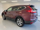 Used 2019 Honda CR-V EX-L image 5