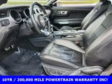 Used 2022 Ford Mustang Premium image 3