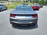 Certified 2024 Ford Mustang Coupe image 3